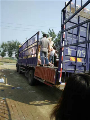 戶(hù)外健身路徑器材裝車(chē)